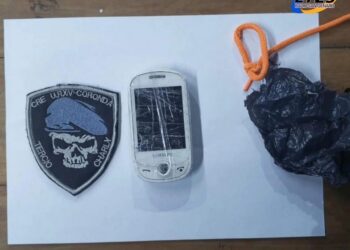 Coronda: Encontraron otra paloma cerca de la cárcel con un teléfono celular.