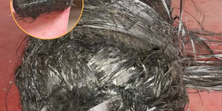 ARMSTRONG: CAYERON DOS ELEMENTOS METALICOS CONSIDERADOS «RESIDUOS ESPACIALES» EN DOS CAMPOS LINDEROS.