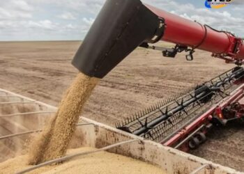 El Gobierno decidió extender la baja temporal de retenciones para el trigo y la cebada hasta el 31 de marzo de 2026, de cara a la inminente siembra de estos cultivos.