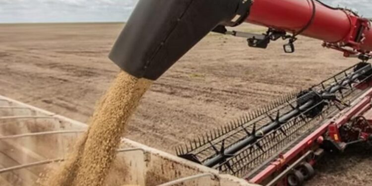 El Gobierno decidió extender la baja temporal de retenciones para el trigo y la cebada hasta el 31 de marzo de 2026, de cara a la inminente siembra de estos cultivos.