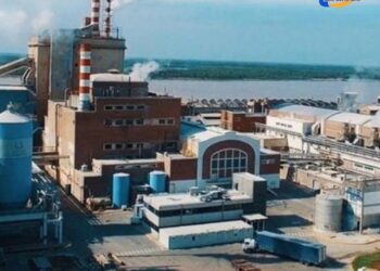 La papelera Celulosa informó que no podrá pagar sus deudas en mayo