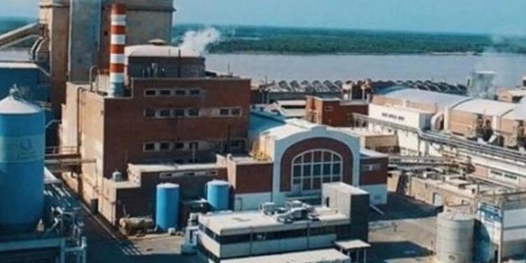 La papelera Celulosa informó que no podrá pagar sus deudas en mayo
