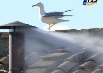 HABEMUS PAPAM: LA IGLESIA CATÓLICA TIENE NUEVO LÍDER