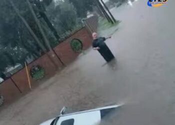 El Senador Esteban Motta y el Ministro Puccini recorrieron empresas líderes del Departamento San Martín