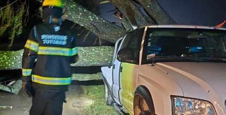 Fuertes tormentas en Totoras: despiste en Ruta 34, calles anegadas y árboles caídos