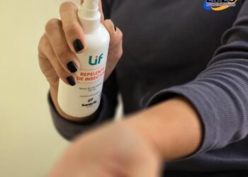 Dengue: Provincia reitera las recomendaciones para viajeros por el fin de semana largo