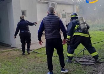 Al menos 12 animales muertos por un incendio en la Granja La Esmeralda