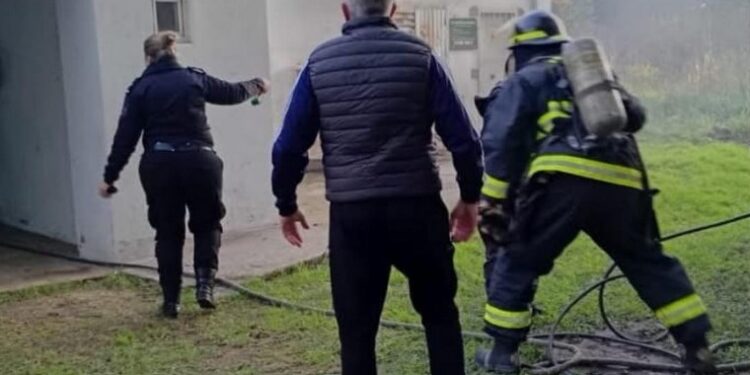 Al menos 12 animales muertos por un incendio en la Granja La Esmeralda