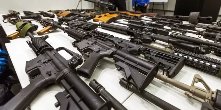 ARMAS SEMIAUTOMÁTICAS: EL GOBIERNO HABILITÓ LA COMPRA Y LA TENENCIA PARA CIVILES