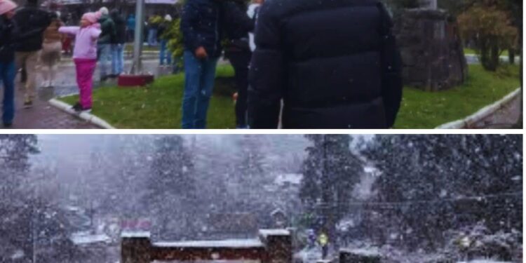 ¿Nieve o ciclón? El sur de Brasil lo vivió todo