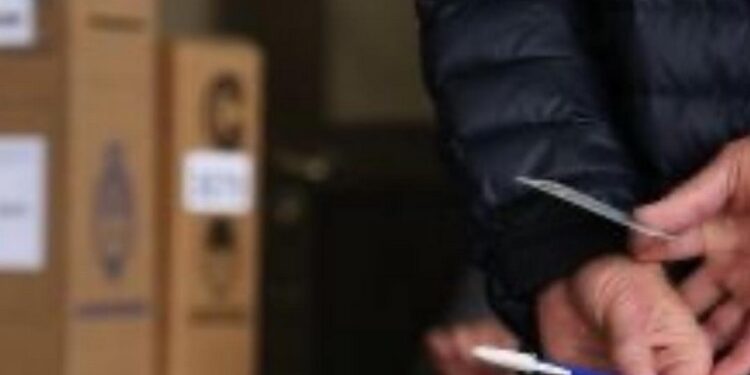 Porcentajes de sufragios del padrón electoral registrado hasta las 17 hs