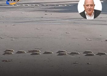 Totoras Menos trampas viales: Pascual impulsa fin de tortuguitas y tachuelas