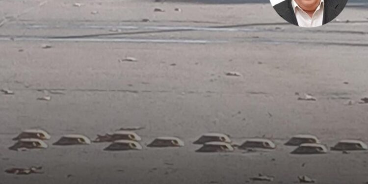 Totoras Menos trampas viales: Pascual impulsa fin de tortuguitas y tachuelas