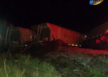 Anoche se produjo un siniestro vial entre un camión y el tren a la altura de Ricardone.