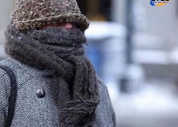 Ola polar: se esperan heladas, temperaturas cercanas a cero y nieblas