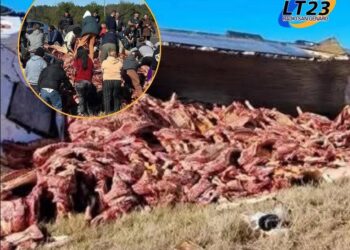 CONCORDIA: UN CAMIÓN VOLCÓ Y LA GENTE SE LLEVÓ TODA LA CARNE