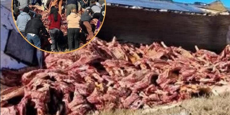 CONCORDIA: UN CAMIÓN VOLCÓ Y LA GENTE SE LLEVÓ TODA LA CARNE