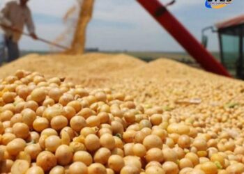 EL GOBIERNO VUELVE A SUBIR LAS RETENCIONES AL CAMPO