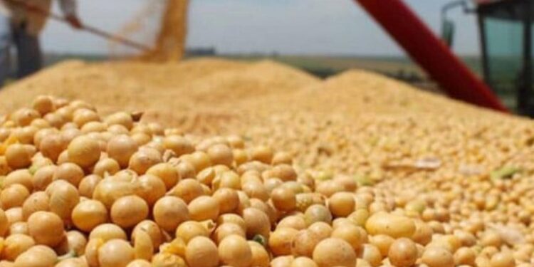 EL GOBIERNO VUELVE A SUBIR LAS RETENCIONES AL CAMPO