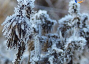 FRÍO POLAR EN CAMINO: SE ESPERAN HELADAS SEVERAS DESDE EL LUNES 23 EN EL CENTRO DE ARGENTINA