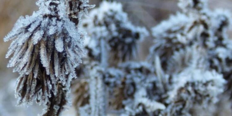 FRÍO POLAR EN CAMINO: SE ESPERAN HELADAS SEVERAS DESDE EL LUNES 23 EN EL CENTRO DE ARGENTINA