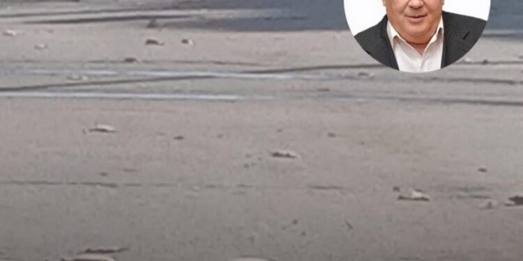 Totoras: Pascual logró aprobar ordenanza para eliminar Tortugones, tortuguitas y tachas