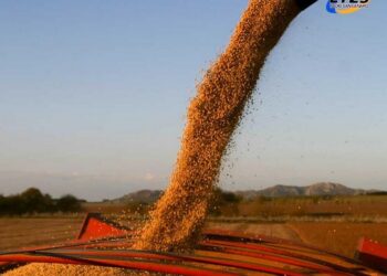 Tres provincias perderán casi US$1.000 millones con la posible vuelta de las retenciones