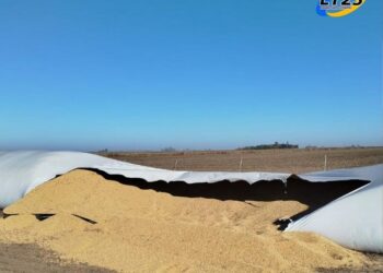 ROBO MILLONARIO EN UN CAMPO DE CARLOS PELLEGRINI