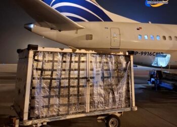 Desde Rosario ya se exporta carne y pescado por vía aérea: un hito logístico que posiciona al aeropuerto como plataforma internacional