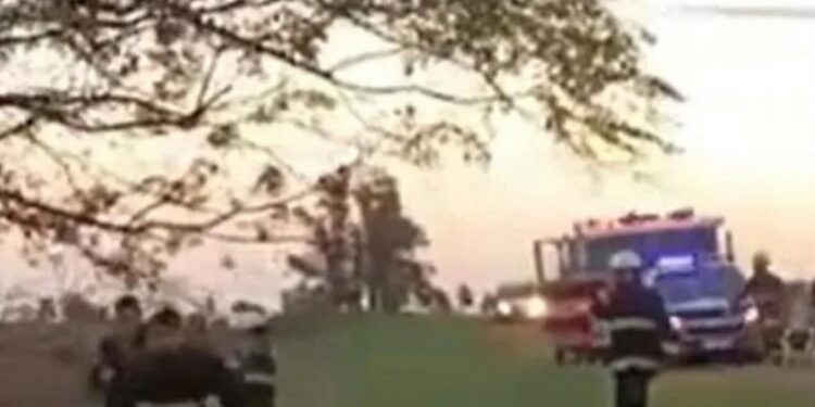 San Carlos Norte: cuatro jóvenes santafesinos heridos tras despistar y chocar contra un árbol