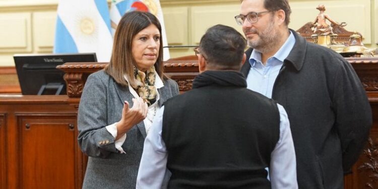 CLARA GARCÍA SUPERVISÓ LAS TAREAS DE ADECUACIÓN REALIZADAS EN LA CÁMARA BAJA PARA ALBERGAR A LA CONVENCIÓN CONSTITUYENTE