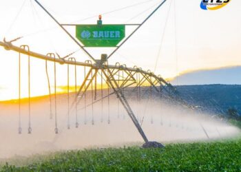 BAUER, DE LA MANO DE GRUPO CRIOLANI, CONCRETA EL PRIMER PROYECTO DE GRAN ESCALA DESDE SU REGRESO AL PAÍS