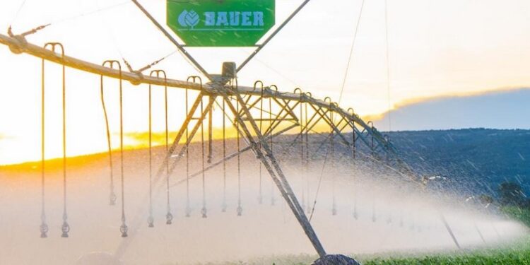 BAUER, DE LA MANO DE GRUPO CRIOLANI, CONCRETA EL PRIMER PROYECTO DE GRAN ESCALA DESDE SU REGRESO AL PAÍS