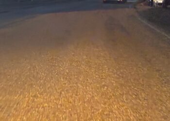 Cereal sobre ruta 34 a la altura de estación de Servicio Puma Clason.