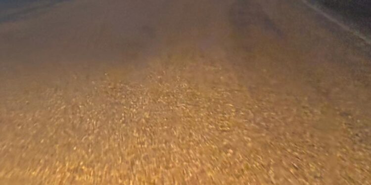 Cereal sobre ruta 34 a la altura de estación de Servicio Puma Clason.