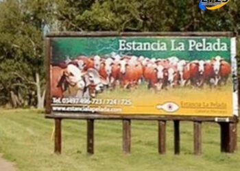 Golpe comando: vaciaron la caja fuerte de una histórica estancia ligada a los Born