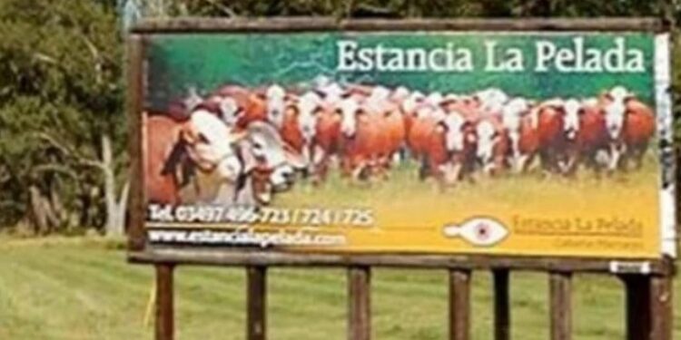 Golpe comando: vaciaron la caja fuerte de una histórica estancia ligada a los Born