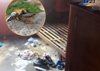 San Genaro: incendio en una vivienda. Una mujer y una menor fueron trasladadas al Samco