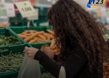 INDEC dará a conocer este lunes el Índice de Precios al Consumidor (IPC) de junio. Según estimaciones privadas, la inflación rondará el 2%