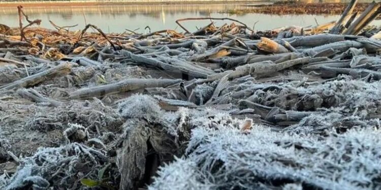 La semana comenzó con temperaturas mínimas bajo cero en la región