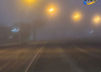 Otra vez la niebla, precaución al circular en rutas de la región