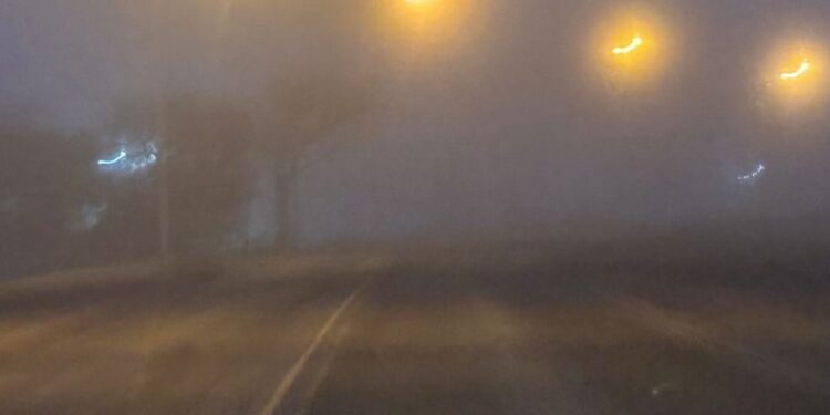 Otra vez la niebla, precaución al circular en rutas de la región
