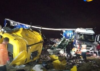 Choque fatal entre dos camiones en Ruta 9 entre Tortugas y Gral Roca