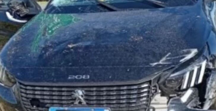 Intentó esquivar a cuatro perros, perdió el control y volcó en autopista a la altura de Barrancas