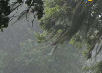 AVISO METEOROLÓGICO