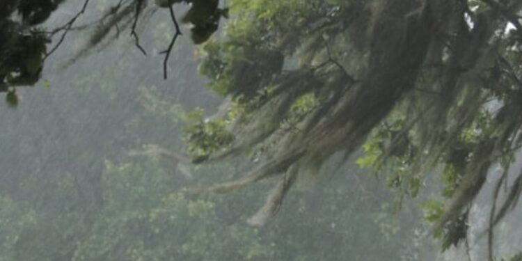 AVISO METEOROLÓGICO