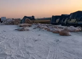 Corte en la autopista Rosario- Buenos Aires: choque de camiones dejó la ruta con 30 toneladas de harina