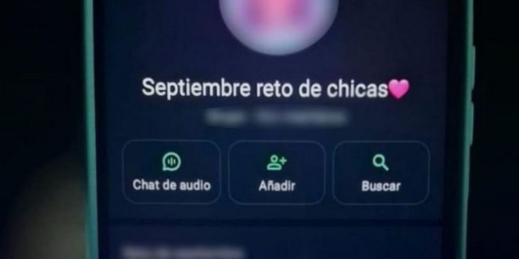 Cuatro familias de Barrancas denunciaron que sus hijas de entre 10 y 12 años fueron sumadas a un grupo de WhatsApp con contenido sexual explícito con más de 400 integrantes.