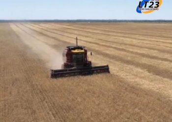 EL GOBIERNO ANUNCIÓ RETENCIONES CERO PARA TODOS LOS GRANOS HASTA EL 31/10