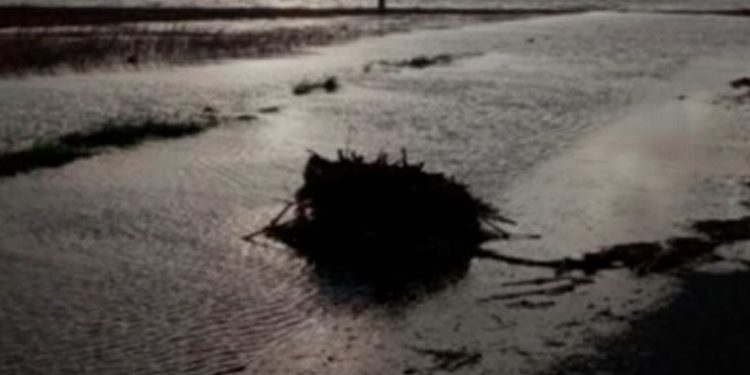 PREOCUPAN LAS CONSECUENCIAS DEL TEMPORAL EN LA ESTRUCTURA DEL PUENTE DE LA RUTA 9